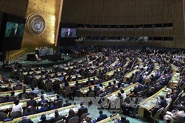 Hàng chục nước ký hiệp ước cấm vũ khí hạt nhân tại LHQ 